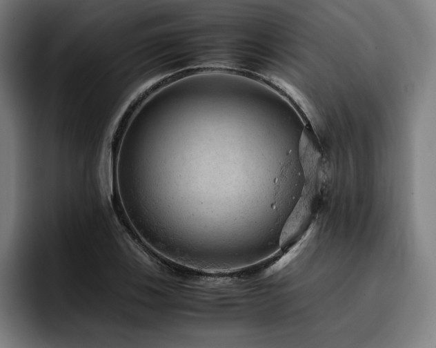X0000093431123200710121157