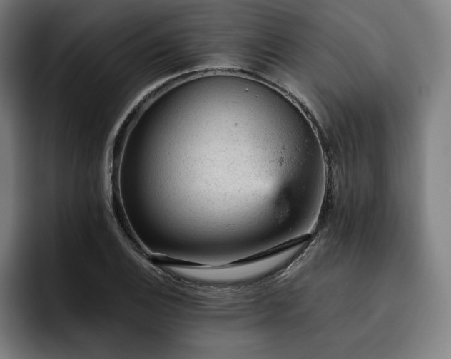 X0000093431124200710121157