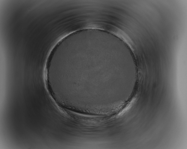 X0000093431125200710121157