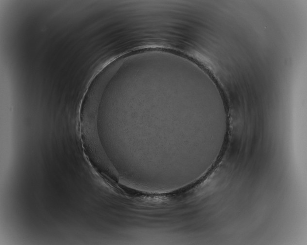 X0000093431129200710121157