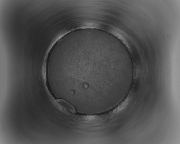 X0000093431130200710121157