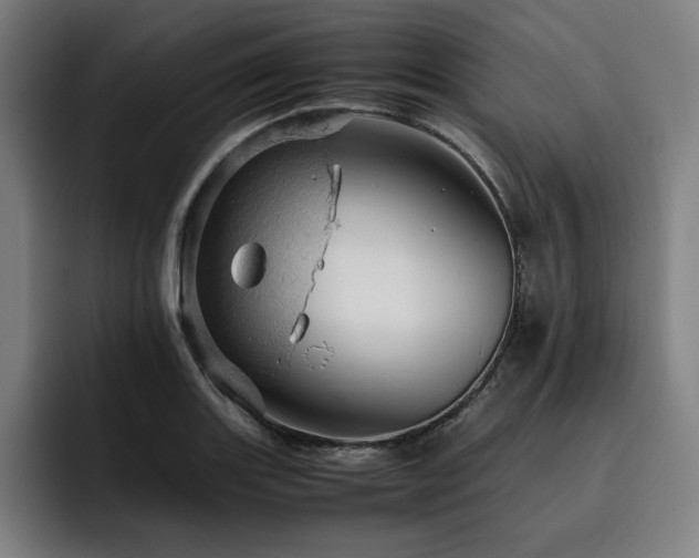 X0000093431131200710121157