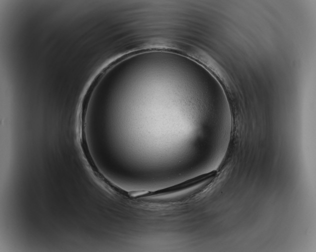 X0000093431132200710121157