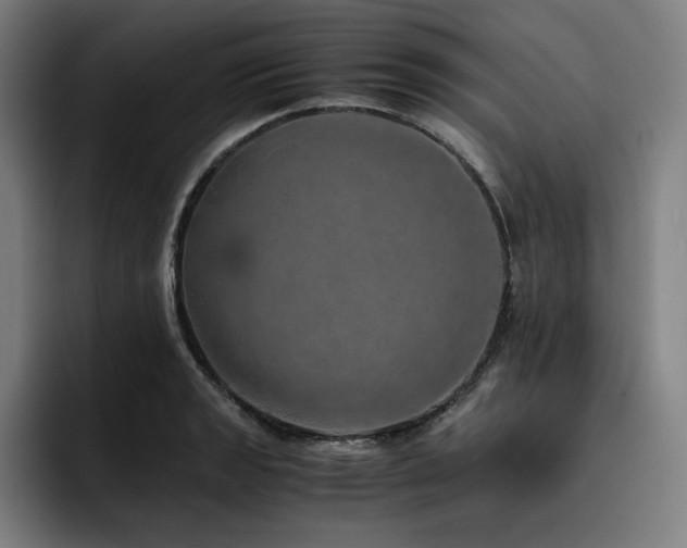 X0000093431133200710121157