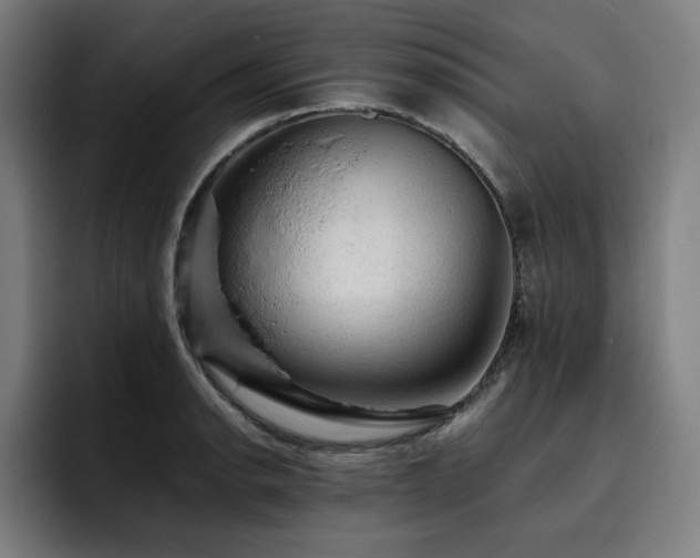 X0000093431134200710121157