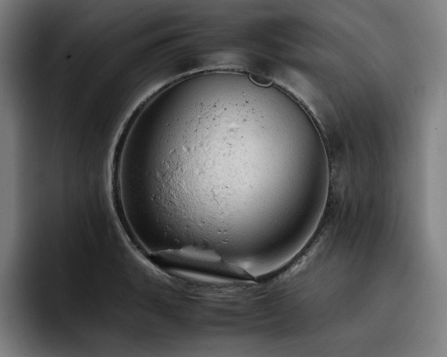X0000093431135200710121157