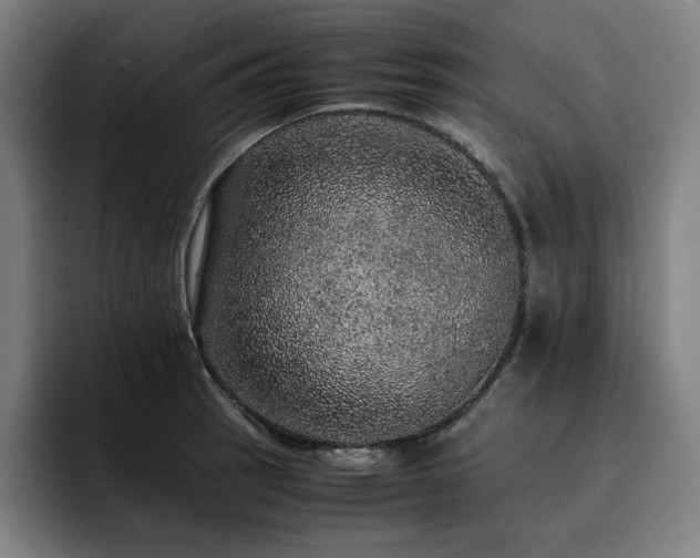 X0000093431137200710121157