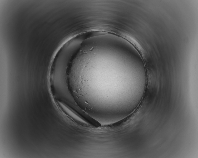 X0000093431138200710121157