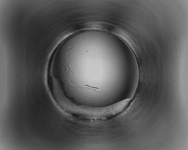 X0000093431139200710121157