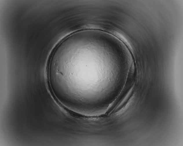X0000093431141200710121157