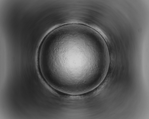 X0000093431142200710121157