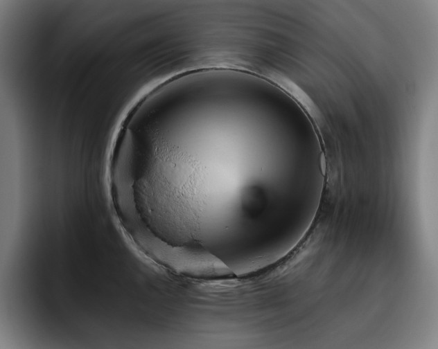 X0000093431144200710121157