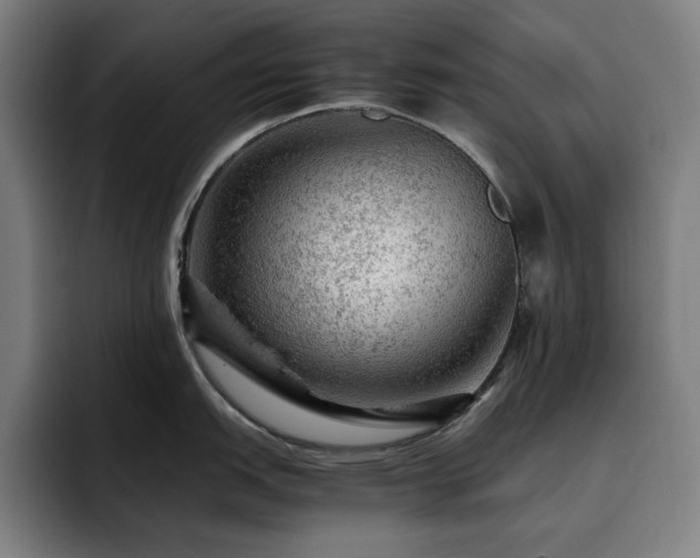 X0000093431151200710121157