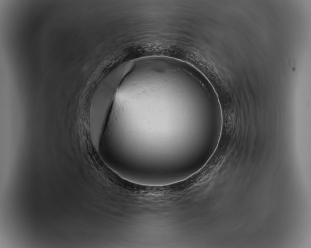 X0000093431153200710121156