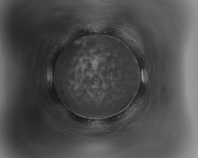 X0000093431155200710121156
