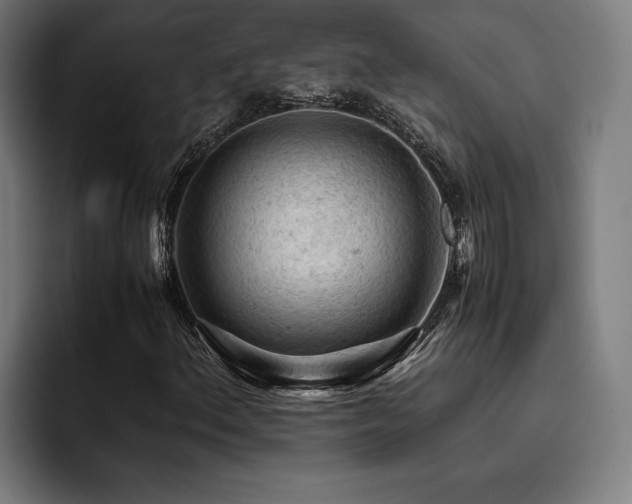X0000093431156200710121156