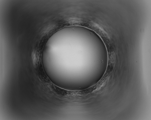 X0000093431157200710121156