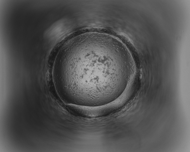 X0000093431159200710121156