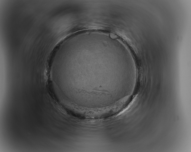 X0000093431163200710121156