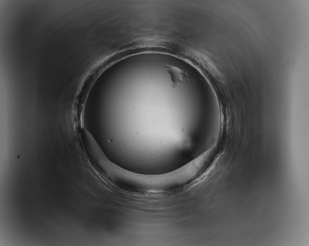 X0000093431164200710121156