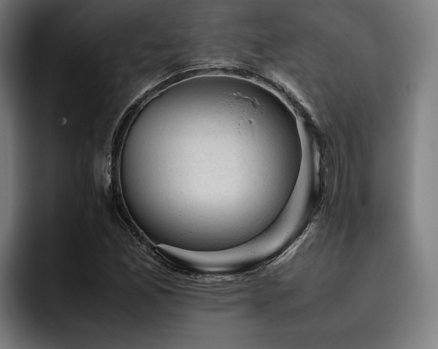X0000093431165200710121156