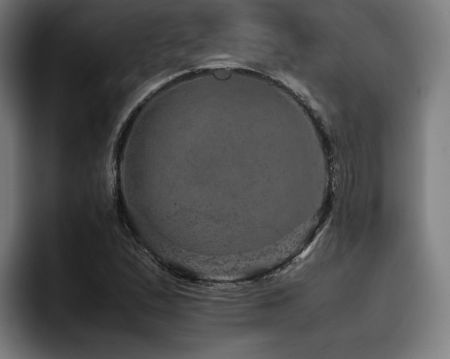 X0000093431167200710121156