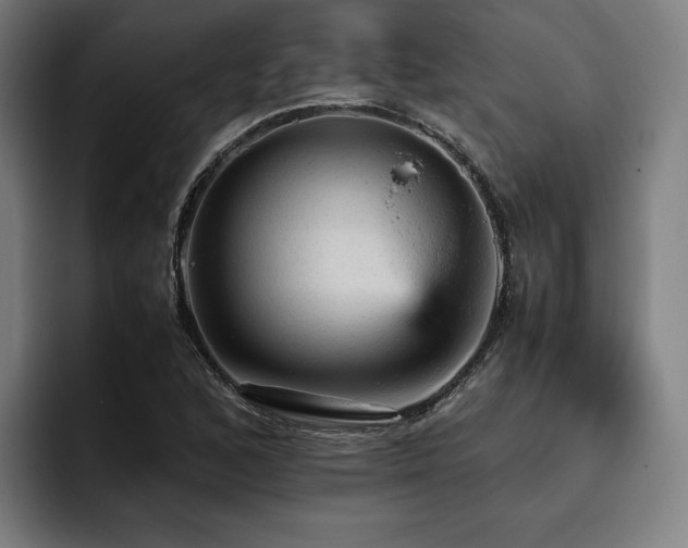 X0000093431168200710121156