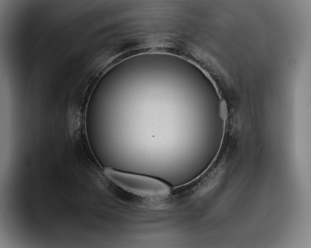 X0000093431169200710121156
