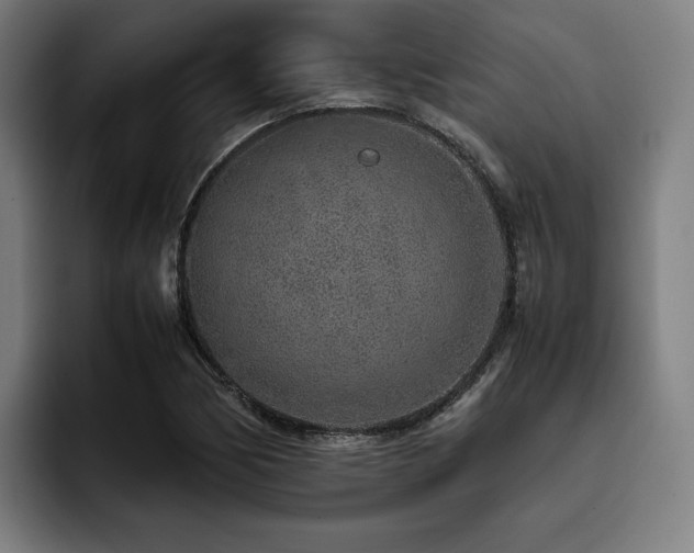 X0000093431170200710121156