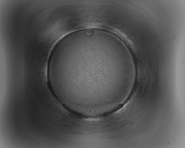 X0000093431174200710121156