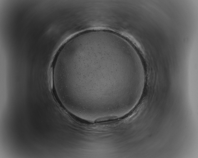 X0000093431175200710121156