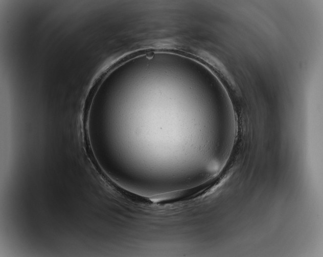X0000093431176200710121156