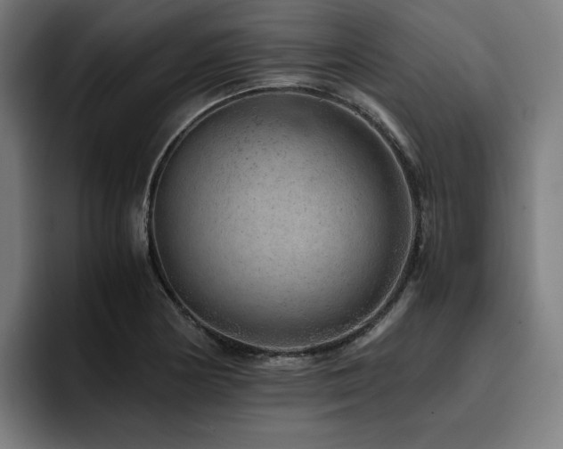 X0000093431178200710121156