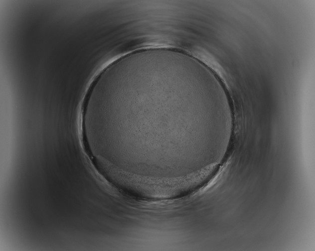 X0000093431179200710121156