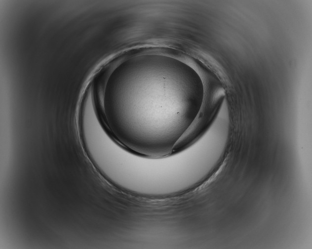 X0000093431180200710121156