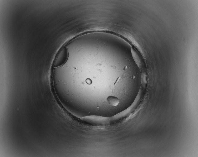 X0000093431181200710121156