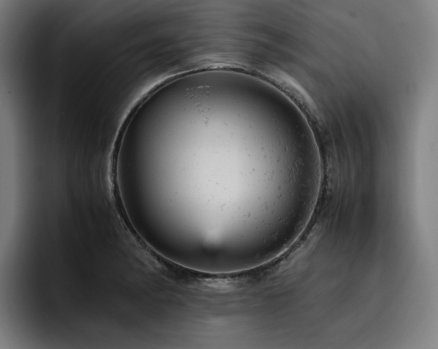 X0000093431182200710121156