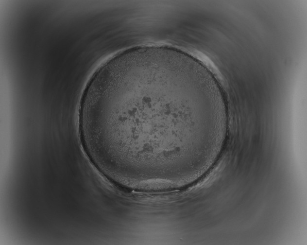 X0000093431183200710121156