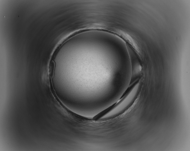 X0000093431184200710121156