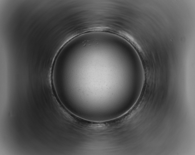 X0000093431186200710121156