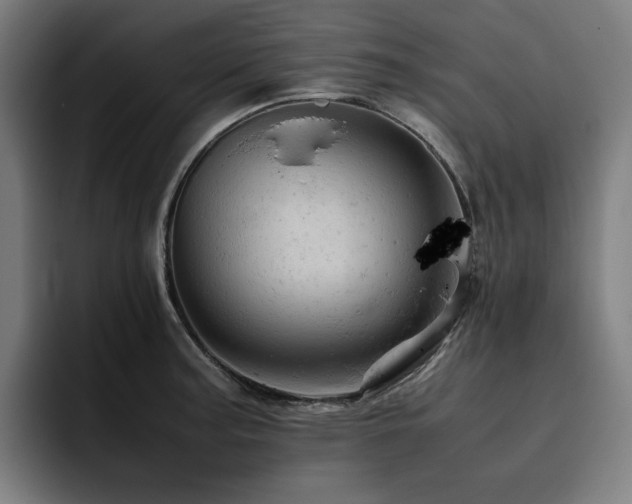 X0000093431187200710121156