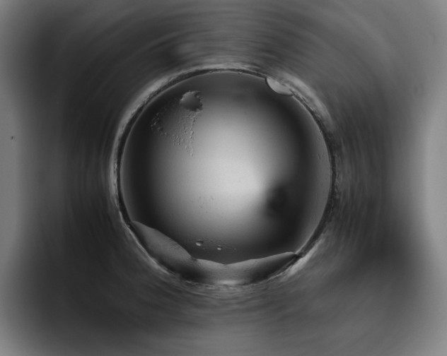 X0000093431188200710121156