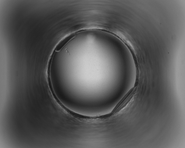 X0000093431189200710121156