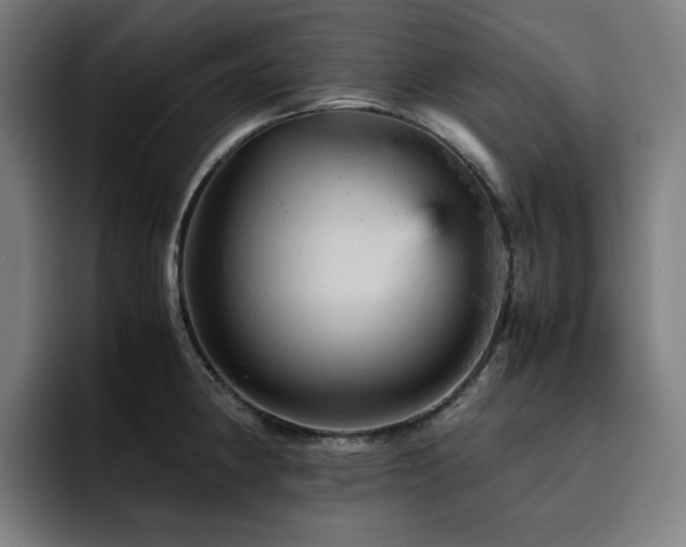 X0000093431190200710121156