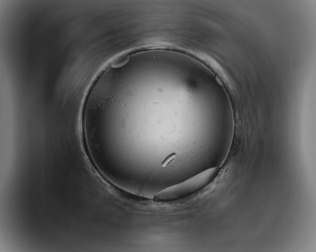 X0000093431191200710121156