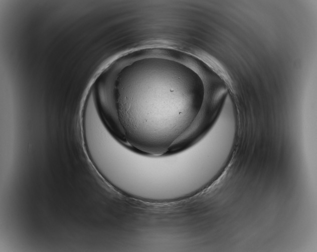 X0000093431192200710121156