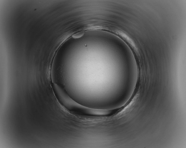 X0000093431193200710121156