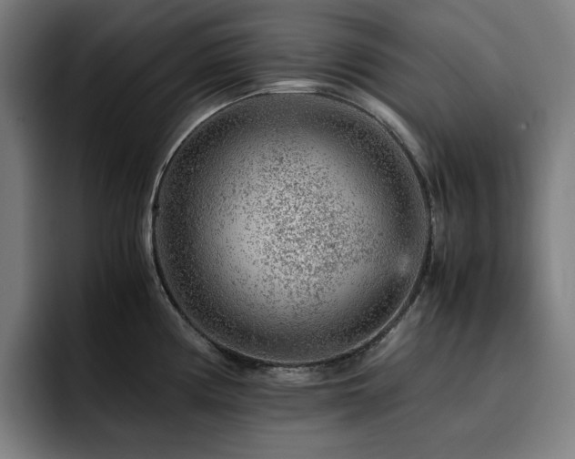 X0000093431194200710121156