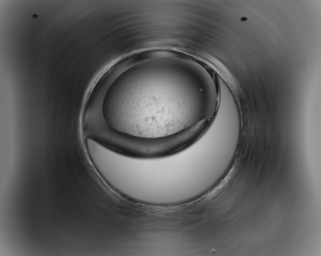 X0000093431196200710121156