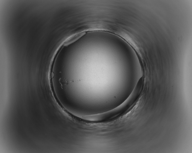 X0000093431197200710121156